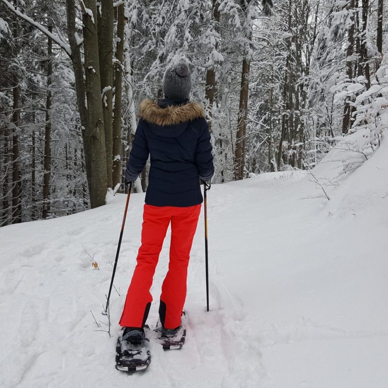 Quoi de mieux qu'une marche en raquette dans les bois à Châtel