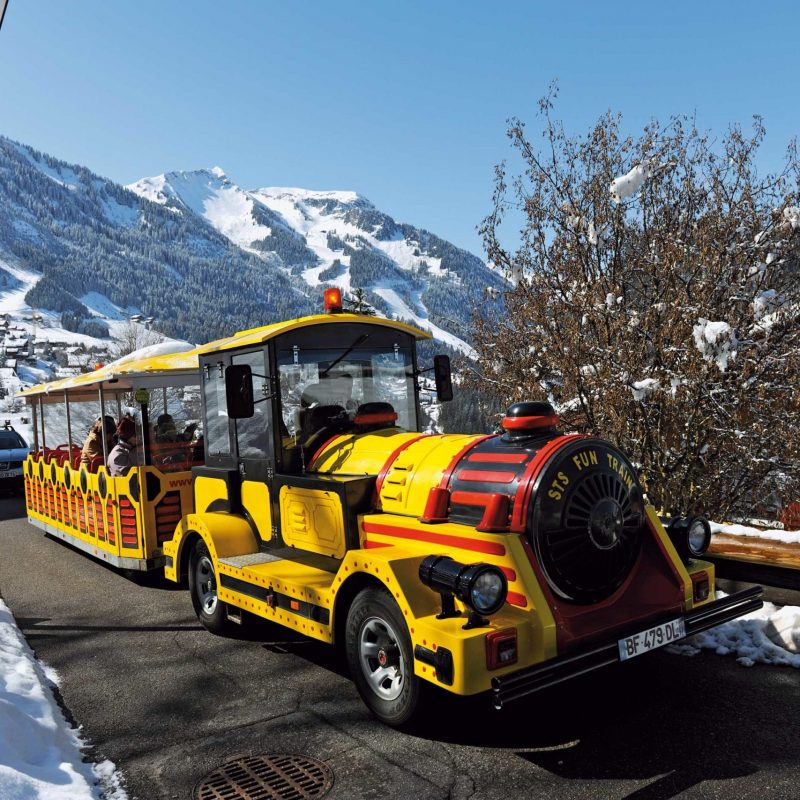 Le petit train de Châtel vous fera découvrir toute l'histoire de la station de Châtel